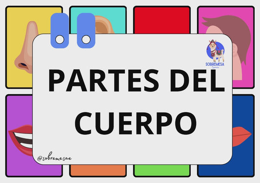 Las partes del cuerpo - Flash Cards